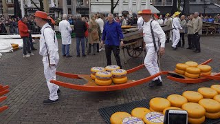 Von Käse  Windmühlen und Blumen Eine Busreise nach Holland [upl. by Elly]