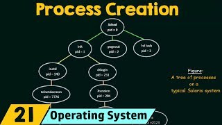 Operation on Processes – Process Creation [upl. by Clute149]