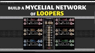 Hyphae Overview and Tutorial \ Build a Mycelial Network of Loopers [upl. by Odraude917]