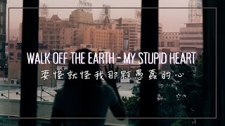 要怪就怪我那顆愚蠢的心  Walk off the Earth  My Stupid Heart 中英歌詞 [upl. by Bywoods]