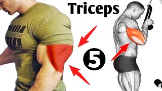 My Top 5 Exercises For Bigger Triceps  Triceps Workout [upl. by Esta]