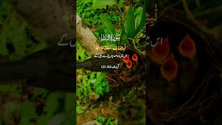 Surah Insan  Surah Insan With Urdu Translation  Al Insan Ayat 2130  سورۃ الانسان [upl. by Dhar]