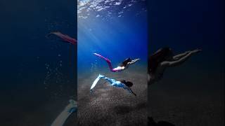 Underwater two queen 😍 mermaid🧜‍♀️ seadiving shortfeedshort youtubeshort seadiving ytahorts [upl. by Fabiano574]