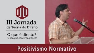 Palestra quotPositivismo Normativoquot  Prof Dr Thomas Bustamante [upl. by Richel]