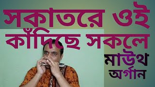 SOKATORE OI KADICHE SOKOLEসকাতরে ওই কাঁদিছে সকলেHARMONICAMOUTH ORGANINSTRUMENTALCOVER [upl. by Baerman431]