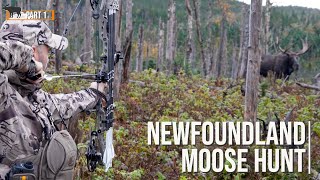 Bowhunting Moose at close range  Incredible passthrough shot [upl. by Bevis617]