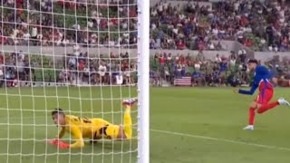 Ricardo Pepi Goal USA vs Panama 20 All Goals and Extended Highlights [upl. by Anerol]