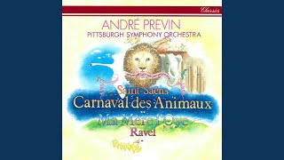 SaintSaëns Le Carnaval des Animaux R 125 Poules et Coqs [upl. by Aniv]