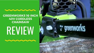 Review Greenworks 16 Inch 40V Cordless Chainsaw [upl. by Flavian]