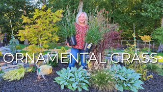 10 Perrenial Grasses Ornamental Grass for your Garden Year Round Interest Low Maintenance Privacy [upl. by Tav206]