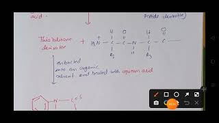 Edman Degradation Peptide Sequencing csirnet gatexl2023 [upl. by Simsar]