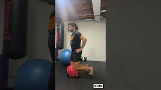 Patellar Tendon Strength  Kneeling Med ball ISO [upl. by Gosney310]