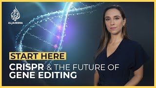 CRISPR What is the future of gene editing  Start Here [upl. by Neelrad]