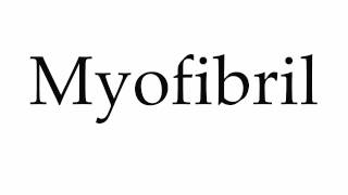 How to Pronounce Myofibril [upl. by Ennylyak]