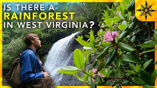 Is There A Rainforest In West Virginia [upl. by Ettenotna]