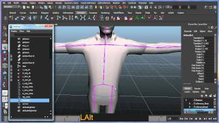 Basic bipedal character rigging setup in Maya  Part 4 of 8 [upl. by Budge]