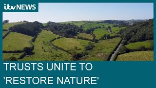 Four wildlife trusts join forces to help restore nature in England and Wales  ITV News [upl. by Kan]