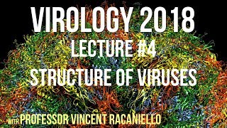 Virology Lectures 2018 4 Structure of Viruses [upl. by Notna619]