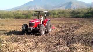 Massey Ferguson 2670 Turbo [upl. by Faulkner]