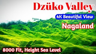 Dzüko Valley 4K View nagaland godisgreatvlog kohima [upl. by Tamqrah]