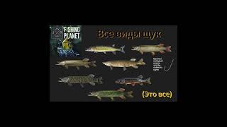 Не большое видео по игре Fishing planet🎣🍂 [upl. by Lenrow]