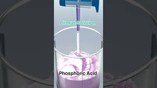 phosphoric acid with litmus solution shortsfeed practical viral chemistry neet jee [upl. by Amabil]