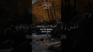 সূরা ত্বহা ১২৪১২৬surah taha 124126 Sherif Mostafa shorts islamic banglaquran [upl. by Hgielyk]