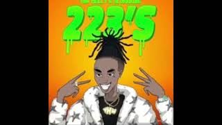 223’s Instrumental YNW Melly￼ [upl. by Ainniz]