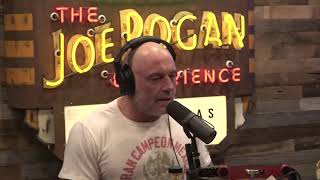 JOE ROGAN I’VE GROWN TO LIKE TRUMP [upl. by Elijah357]