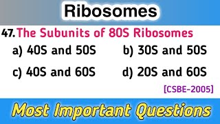 Ribosomes  cell mcq questions cell mcq questions and answers  biology mcqs [upl. by Orferd568]