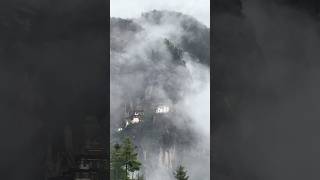 Foggy Tiger nest ytshorts [upl. by Arand]