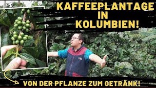 KAFFEE DOKU KOLUMBIEN  So entsteht dein Kaffee ☕️ [upl. by Sanders]