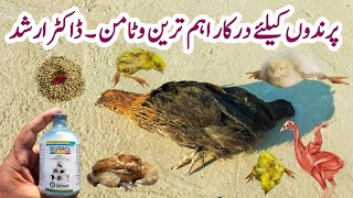 Vitamin E for Chickens  Recognise and Treat Vitamin E Selenium Deficiency in Poultry  Dr ARSHAD [upl. by Amlet]