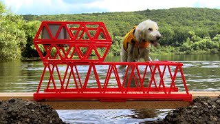 A Ferocious Sea Monster Attacks the Vicarstown Bridge [upl. by Lenra412]