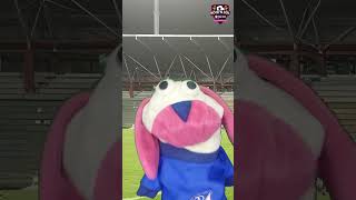 Millonarios 3  Patriotas 0 reacciones FPC [upl. by Trebor]