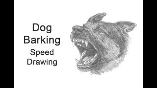 Dog Barking Timelapse  Speed Drawing [upl. by Pasia]