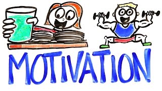 The Science Of Motivation [upl. by Landbert]