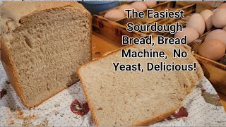 The Easiest Sourdough Sandwich Bread No Yeast Bread Machine [upl. by Lertsek257]