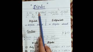 Stipules and its types englishfunction of stipules difference between stipulate and exstipulate [upl. by Sidonius]