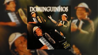 Dominguinhos  quotContrato de Separaçãoquot Ao Vivo2006 [upl. by Reiniar]