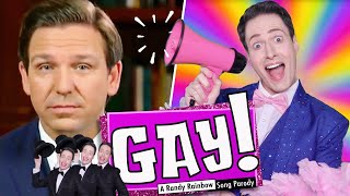 GAY  A Randy Rainbow Song Parody [upl. by Nwahsyar]