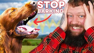 How To Stop Your Dog Barking  You Can Do This Right Now [upl. by Adnowal]