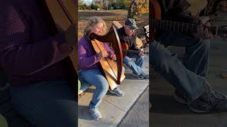 Broom of the CowdenowsScottish Ballad on Harp and Guitar [upl. by Derr]