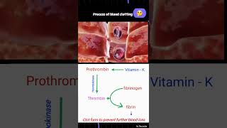 Process of Blood clotting  Blood clotting gurudham shorts [upl. by Bazar849]