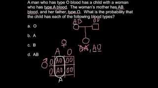 How to solve ABO blood type problems using pedigree chart [upl. by Aimac901]