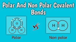 Polar And NonPolar Covalent Bonds  Trick To Identify Polar amp NonPolar Molecules  Class  1011 [upl. by Urdna680]