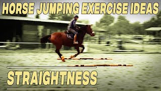 Horse jumping exercise ideas  Working on straightness [upl. by Ogaitnas]