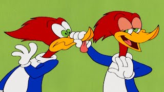 Double Woody Double Trouble  1 Hour of Woody Woodpecker Full Episodes [upl. by Vasili]