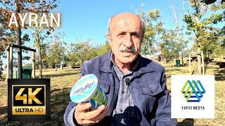 Ayran 10 Lira mı 45 Lira mı [upl. by Shem162]