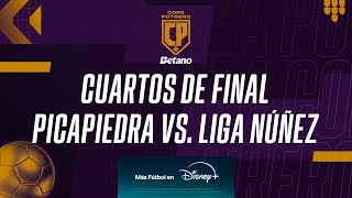 COPA POTRERO  LIGA NUÑEZ VS PICAPIEDRA  CUARTOS DE FINAL [upl. by Su]